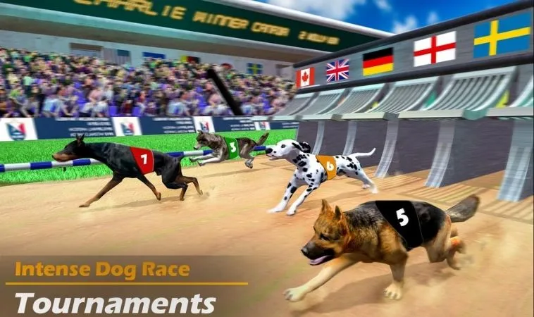 Cách chơi game nhanh Đua Chó Tại 789Club